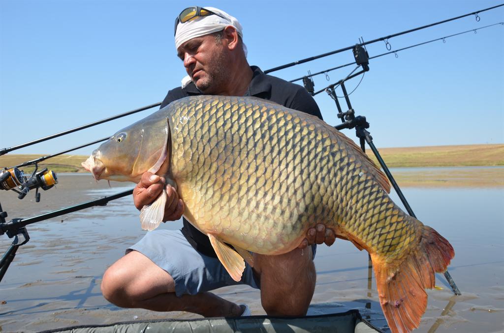 Prieteni si Colegi - 1.JPG